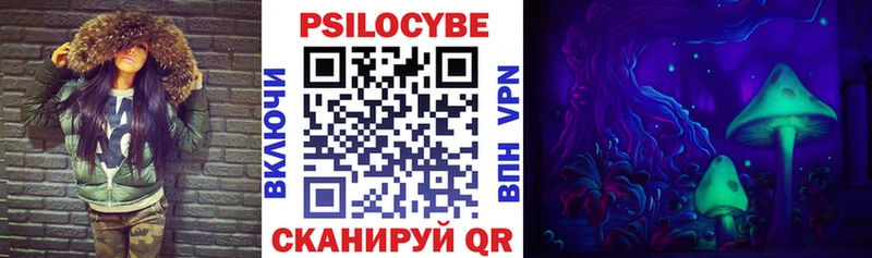 Галлюциногенные грибы Psilocybe  Тимашёвск 